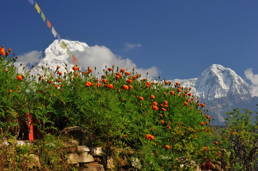 Nepal trekking